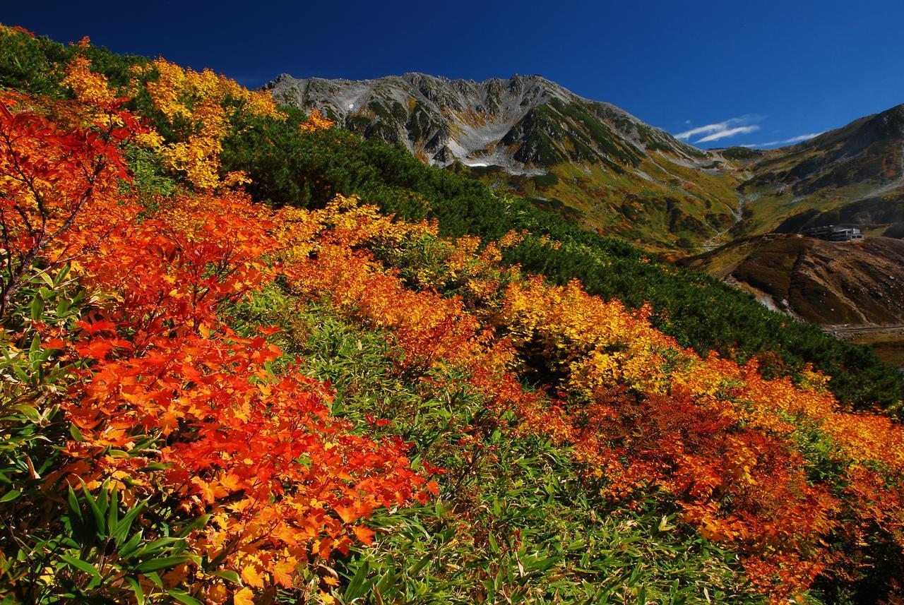 Tateyama Kogen Hotel Toyama Zewnętrze zdjęcie