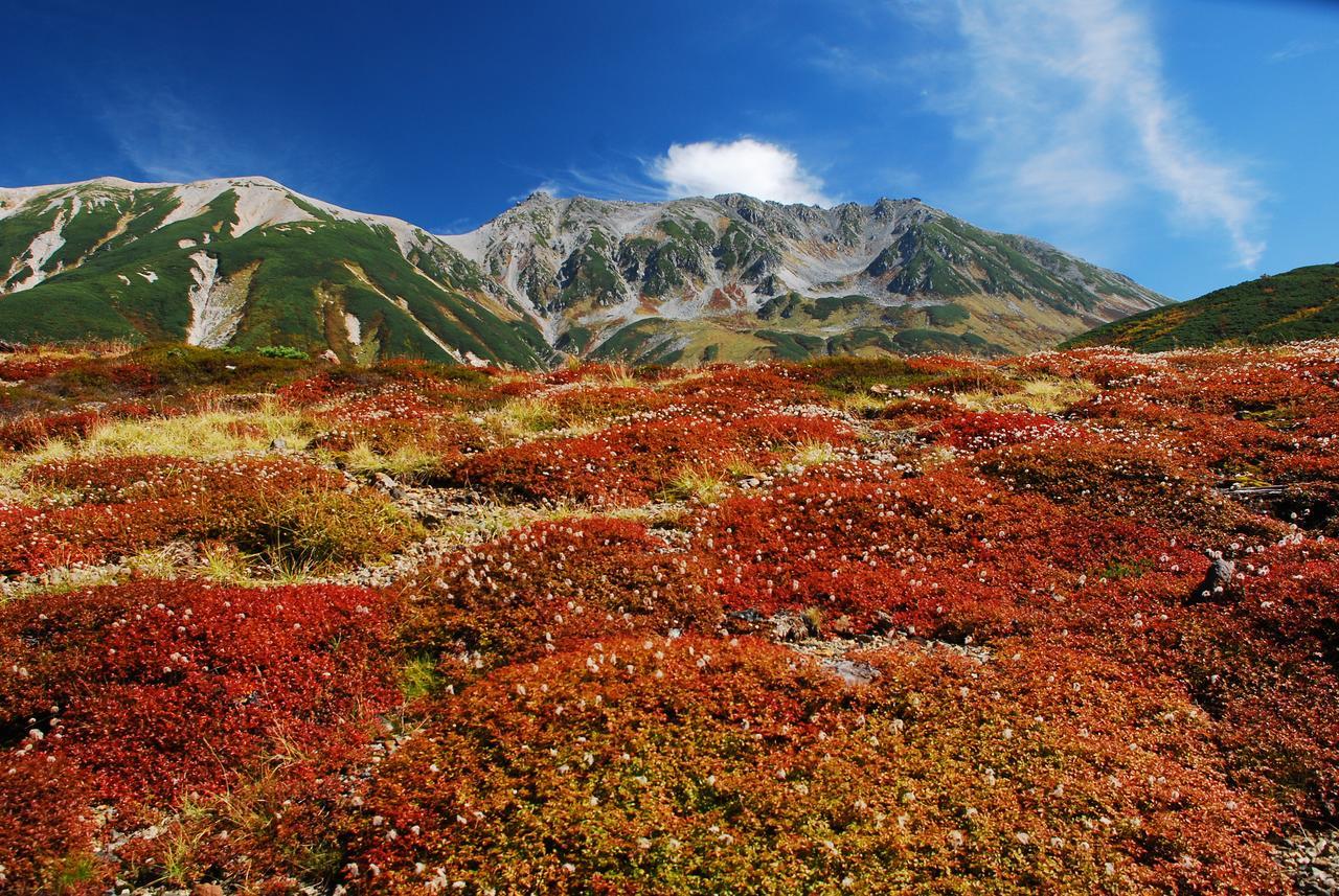 Tateyama Kogen Hotel Toyama Zewnętrze zdjęcie